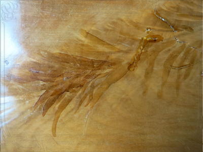 Nachzeichnung einer markanten Holzmaserierung auf einer ausgeblichenen Lackschicht